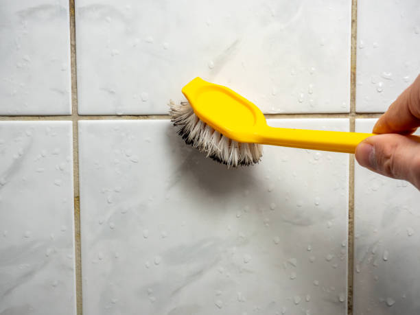 Best Certified Mold Removal  in Rigby, ID