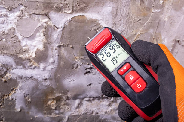 Best Mold Cleaning Services  in Rigby, ID