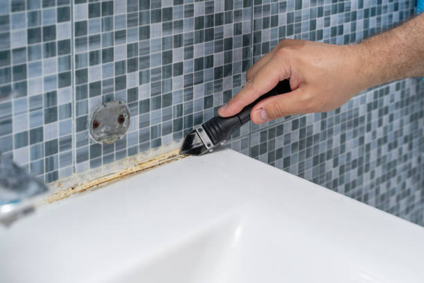 Best Certified Mold Removal  in Rigby, ID